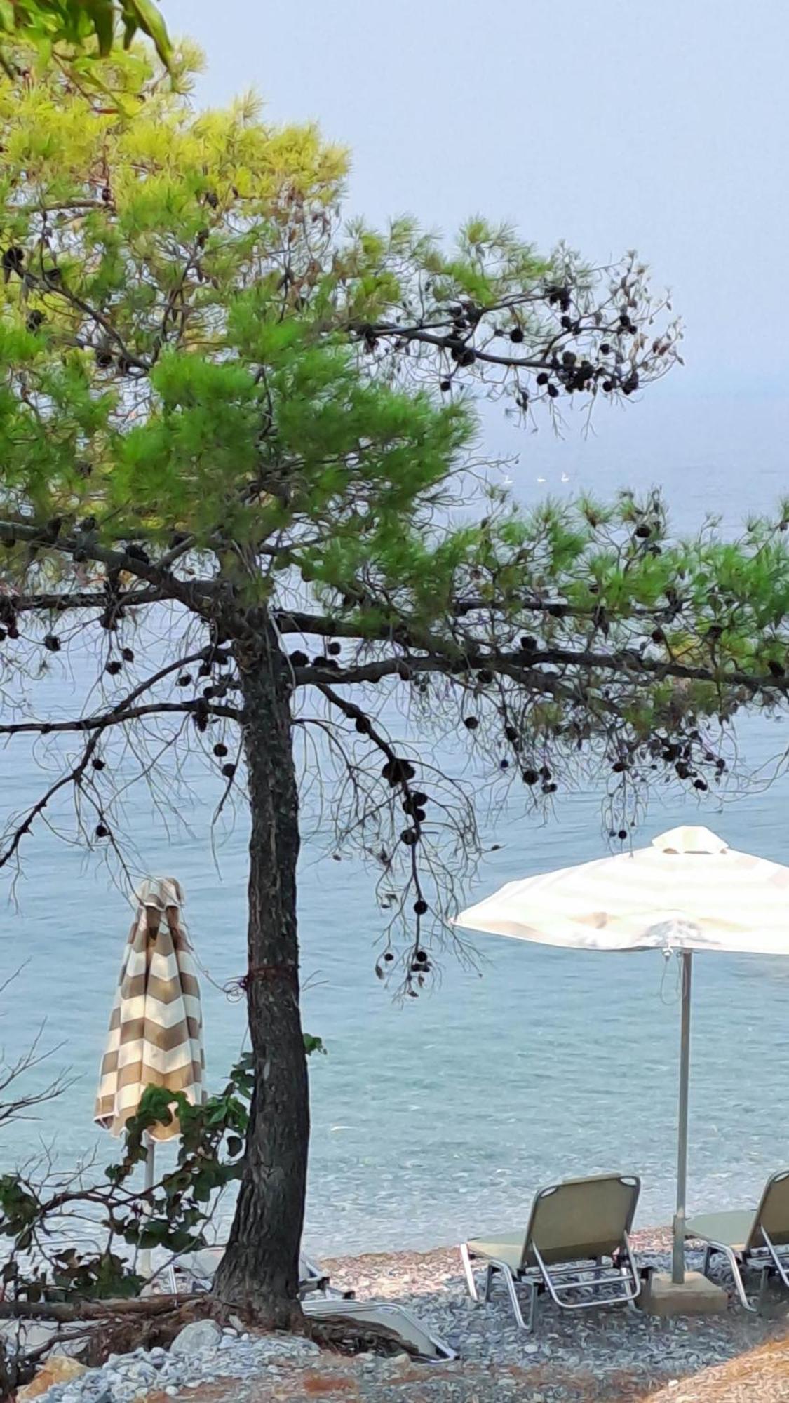 Nama Beach House Arkadiko Chorio Esterno foto